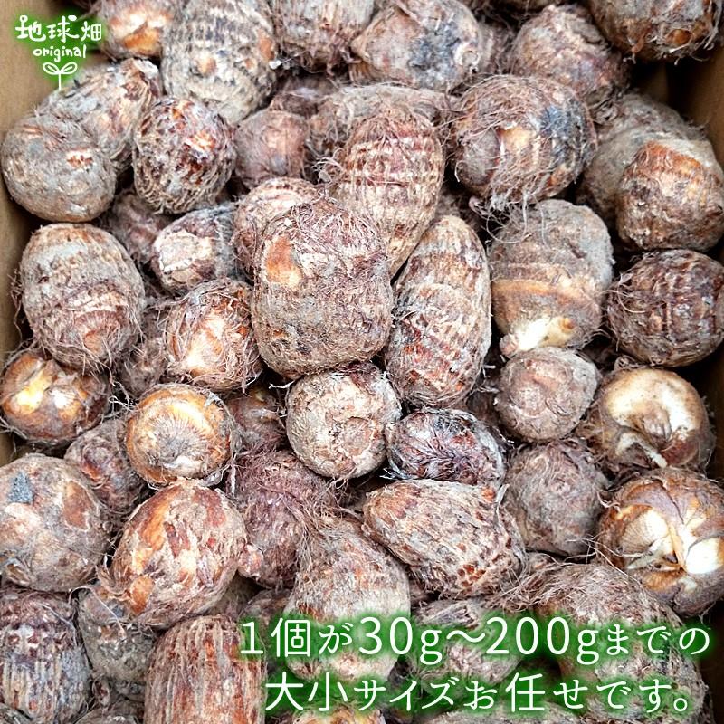 里芋 4kg 有機栽培 鹿児島県産 土付き さといも サトイモ 里いも オーガニック 無農薬 送料無料 冷蔵便 国産 Satoimo 5 地球畑 通販 Yahoo ショッピング