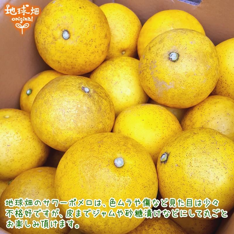 サワーポメロ 7kg 化学肥料・農薬不使用 パール柑 熊本県産 鹿児島県産