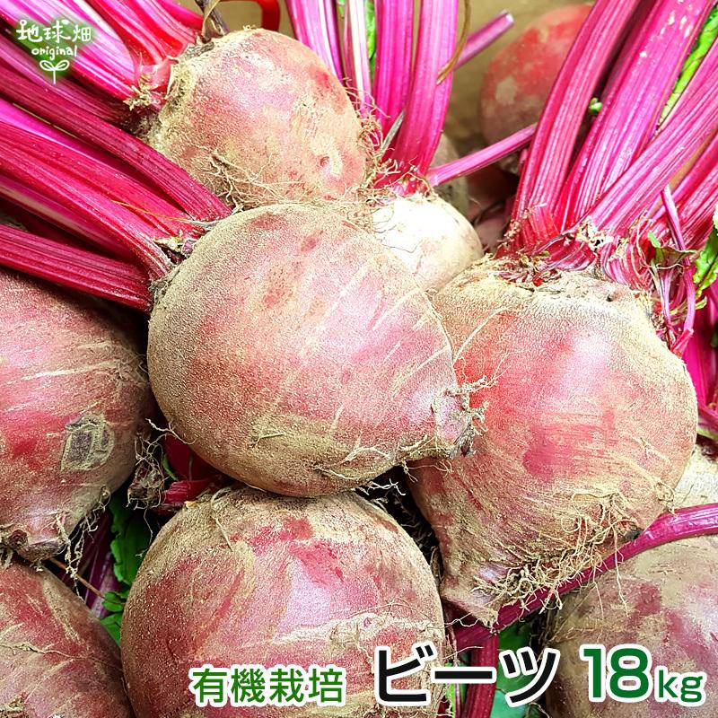 非売品 ビーツ 安心 安全の有機jas認証付きの有機栽培 有機栽培 まとめ買い ベタシアニン サトウダイコン 火焔菜 レッドビート ビートルート テーブルビート 冷蔵便 土付き 宮崎県産 鹿児島県産 18kg 野菜 Postetelecom Gouv Cg