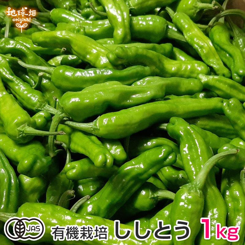 有機ししとう 1kg 鹿児島県産 有機栽培 シシトウ 獅子唐 送料無料 冷蔵便 Shishito 1kg 地球畑 通販 Yahoo ショッピング