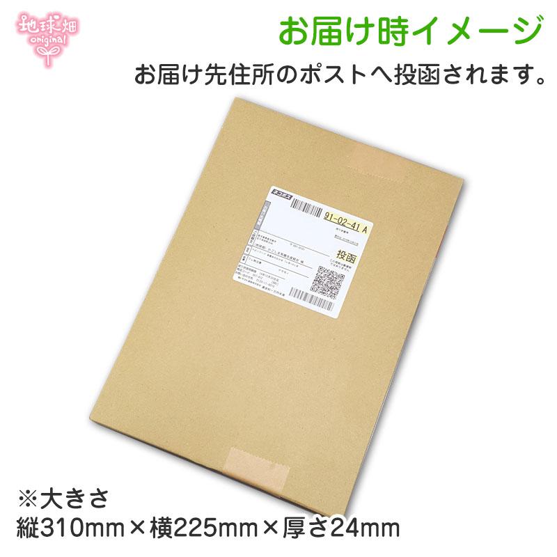 かごしま蒸ししょうがパウダー 50g 有機生姜使用 有機JAS 生姜パウダー 農薬・化学肥料不使用 無添加 粉末 鹿児島県産（メール便送料無料）｜chikyubatake｜07