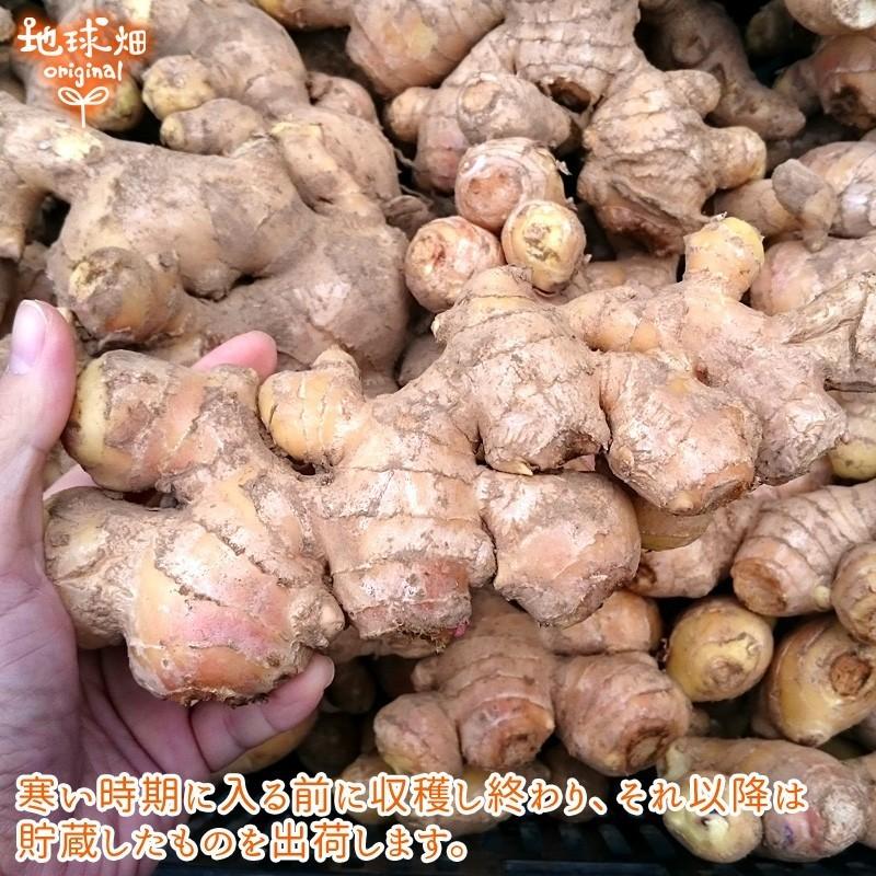 2025年9月以降発送 生姜 4kg 有機栽培 鹿児島県産 宮崎県産 農薬 2025年9月以降発送 生姜 4kg 有機栽培 鹿児島県産 宮崎県産 農薬