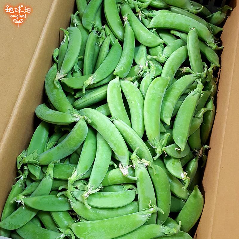 スナップエンドウ 2kg 化学肥料 農薬 除草剤不使用 鹿児島県産 えんどう豆 すなっぷえんどう 豌豆 サラダビーンズ 冷蔵便 送料無料 スナックエンドウ Snapendo 地球畑 通販 Yahoo ショッピング