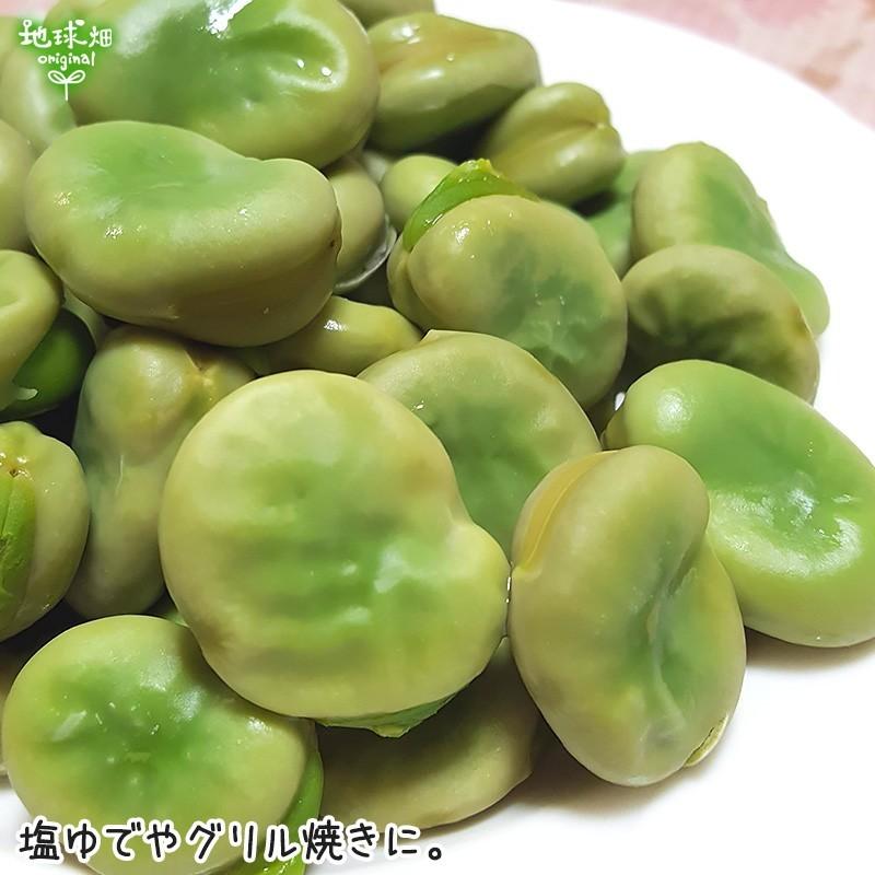 残りわずか そらまめ 4kg 鹿児島県産 農薬 化学肥料 除草剤不使用 そら豆 空豆 蚕豆 ソラマメ 冷蔵便 送料無料 発送期間5月中旬迄 Soramame 4 地球畑 通販 Yahoo ショッピング