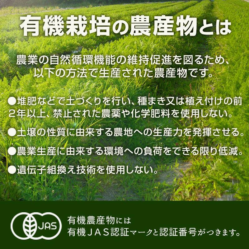 オーガニック 訳あり 玉ねぎ 8kg 有機栽培 鹿児島県産 宮崎県産 熊本県
