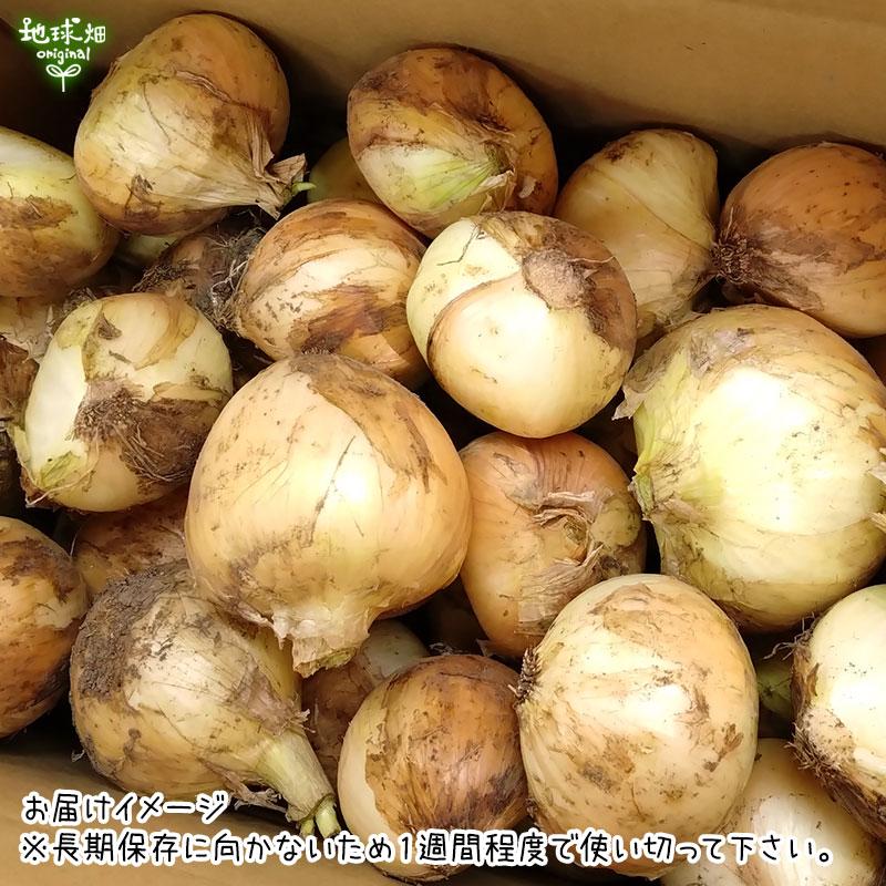 オーガニック 訳あり 玉ねぎ 8kg 有機栽培 鹿児島県産 宮崎県産 熊本県