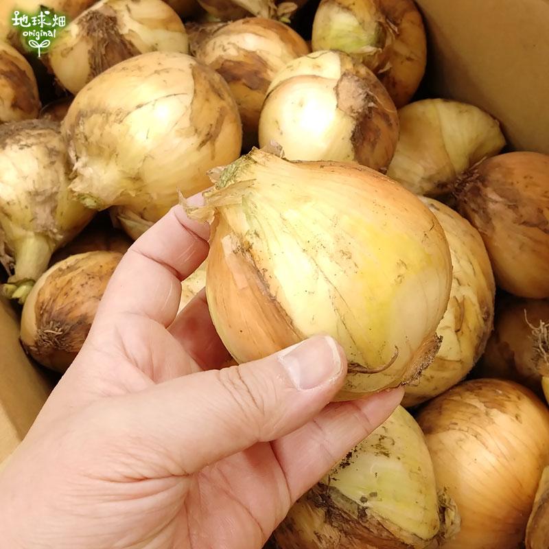 オーガニック 訳あり 玉ねぎ 8kg 有機栽培 鹿児島県産 宮崎県産 熊本県