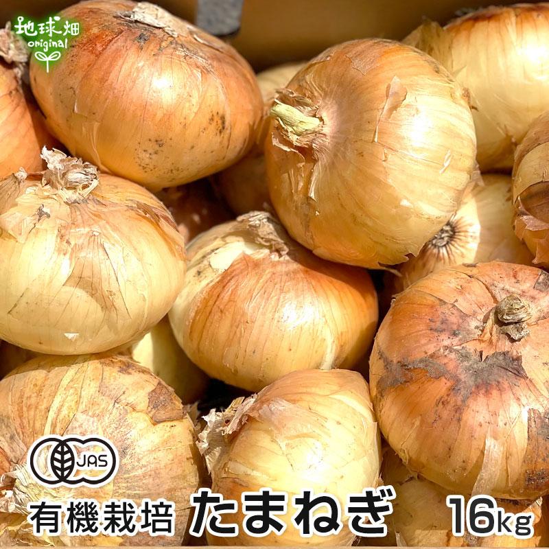 オーガニック 新たまねぎ 16kg 有機栽培 鹿児島県産 タマネギ オーガニック 新たまねぎ 16kg 有機栽培 鹿児島県産 タマネギ