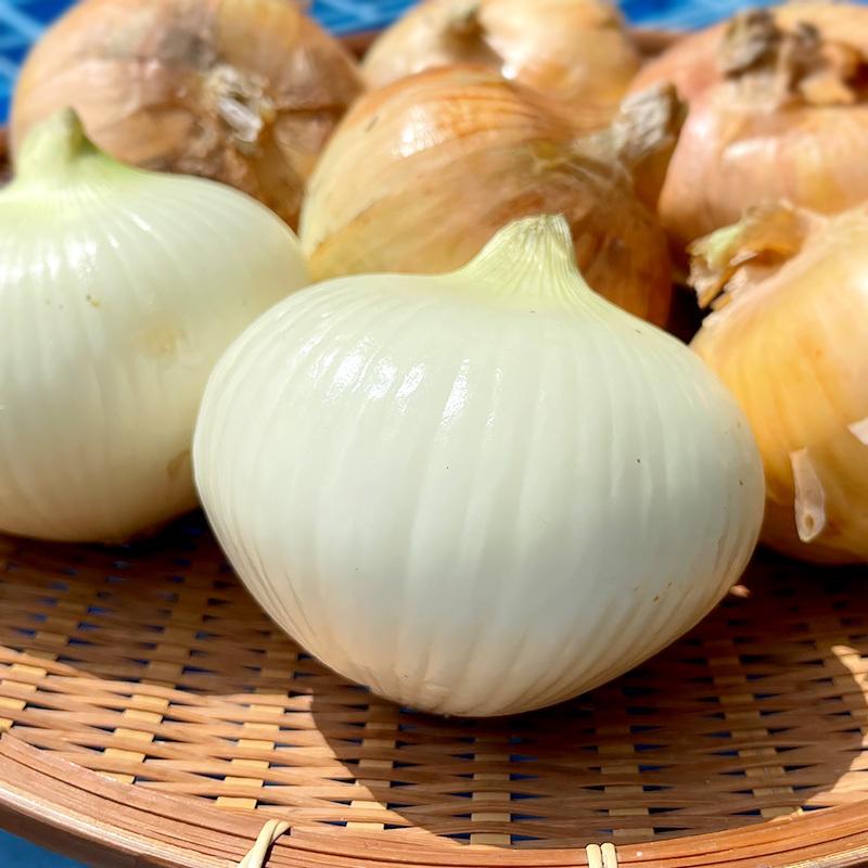 新たまねぎ 16kg 有機栽培 鹿児島県産 宮崎県産 熊本県産 タマネギ 玉葱 玉ねぎ 有機jas オーガニック オニオン サラダ 生 常温便 Tamanegi Ml 16kg 地球畑 通販 Yahoo ショッピング