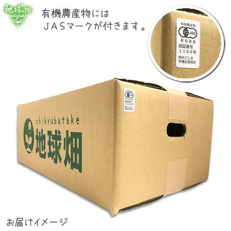新たまねぎ 16kg 有機栽培 鹿児島県産 1個100〜400g タマネギ 玉葱 玉ねぎ 有機JAS オーガニック オニオン サラダ 生 常温便 発送期間4月〜6月の画像