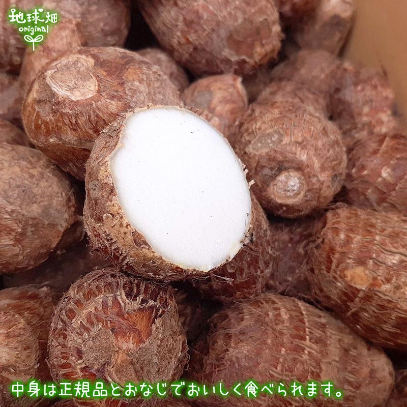 安価 訳あり 里芋 18kg 送料無料 化学肥料 農薬不使用 鹿児島県産 さと芋 サトイモ 無農薬 無化学肥料 常温便 taro わけあり 大きさおまかせ wantannas.go.id 安価 訳あり 里芋 18kg 送料無料 化学肥料 農薬不使用 鹿児島県産 さと芋 サトイモ 無農薬 無化学肥料 常温便 taro わけあり 大きさおまかせ wantannas.go.id