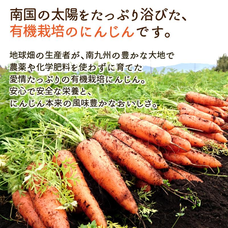 オーガニック 訳あり にんじん 4kg 有機栽培 冷蔵便 鹿児島県産 オーガニック 訳あり にんじん 4kg 有機栽培 冷蔵便 鹿児島県産