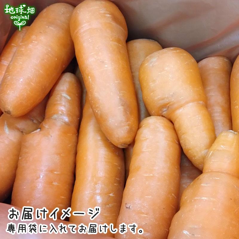 オーガニック 訳あり にんじん 4kg 有機栽培 冷蔵便 鹿児島県産 オーガニック 訳あり にんじん 4kg 有機栽培 冷蔵便 鹿児島県産
