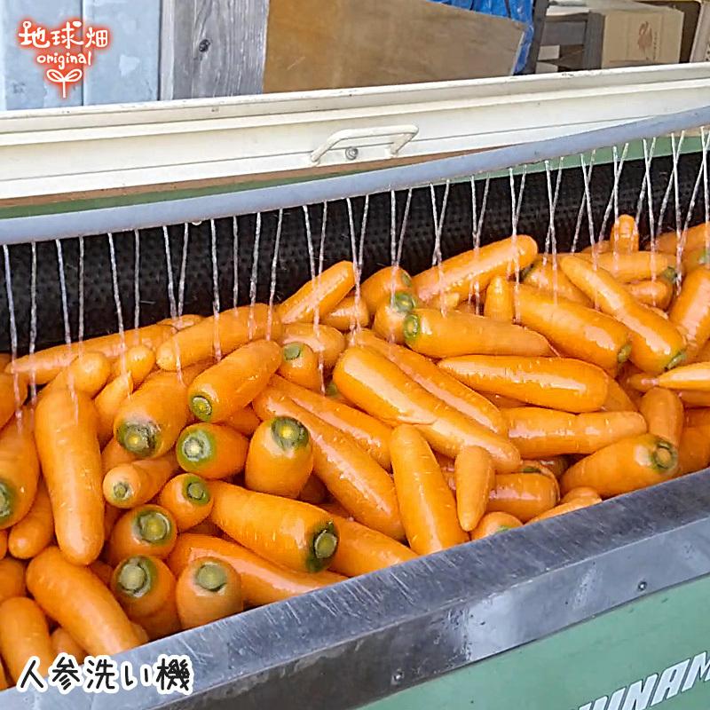 オーガニック 訳あり にんじん 4kg 有機栽培 冷蔵便 鹿児島県産 オーガニック 訳あり にんじん 4kg 有機栽培 冷蔵便 鹿児島県産