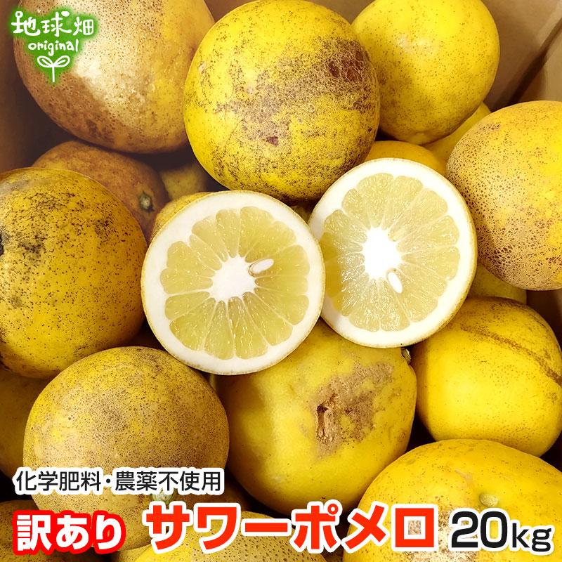 晩柑 家庭用 kg 数量は多い