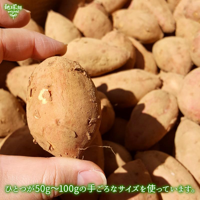 焼き芋 さつまいも 鹿児島県産 有機安納芋(400g×5袋)Sサイズ 焼き芋 さつまいも 鹿児島県産 有機安納芋(400g×5袋)Sサイズ