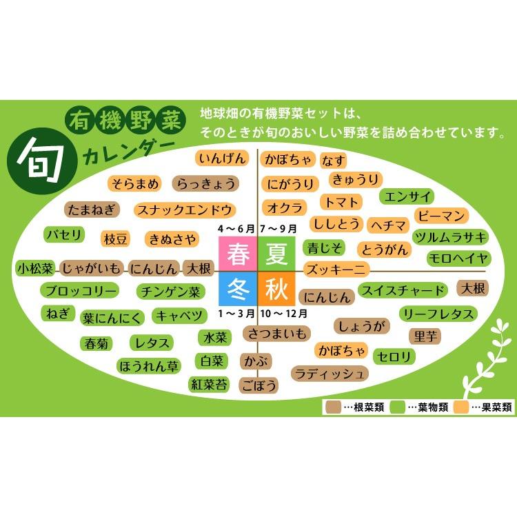 有機野菜セット おまかせ７品目 九州産 鹿児島県 有機栽培 有機jas 冷蔵便 オーガニック 無農薬 西日本 詰め合わせ 送料無料 Yasaiset Omakase 7 地球畑 通販 Yahoo ショッピング