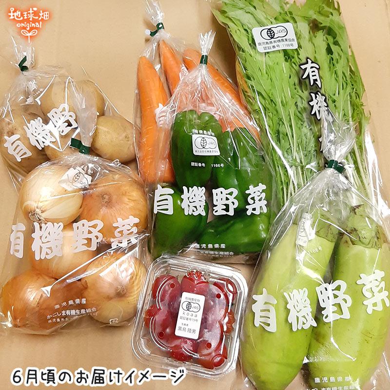 オーガニック 有機野菜セット おまかせ7品目 九州産 鹿児島県 オーガニック 有機野菜セット おまかせ7品目 九州産 鹿児島県