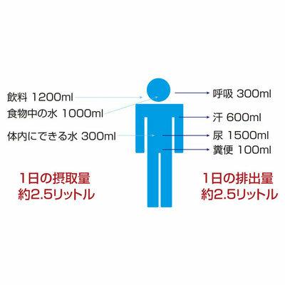電子水生成器 AREE（アレー ）・ファミリーセット 電子水 アレー 電子