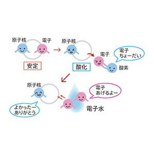 電子水生成器 AREE（アレー ）・ファミリーセット 電子水 アレー 電子