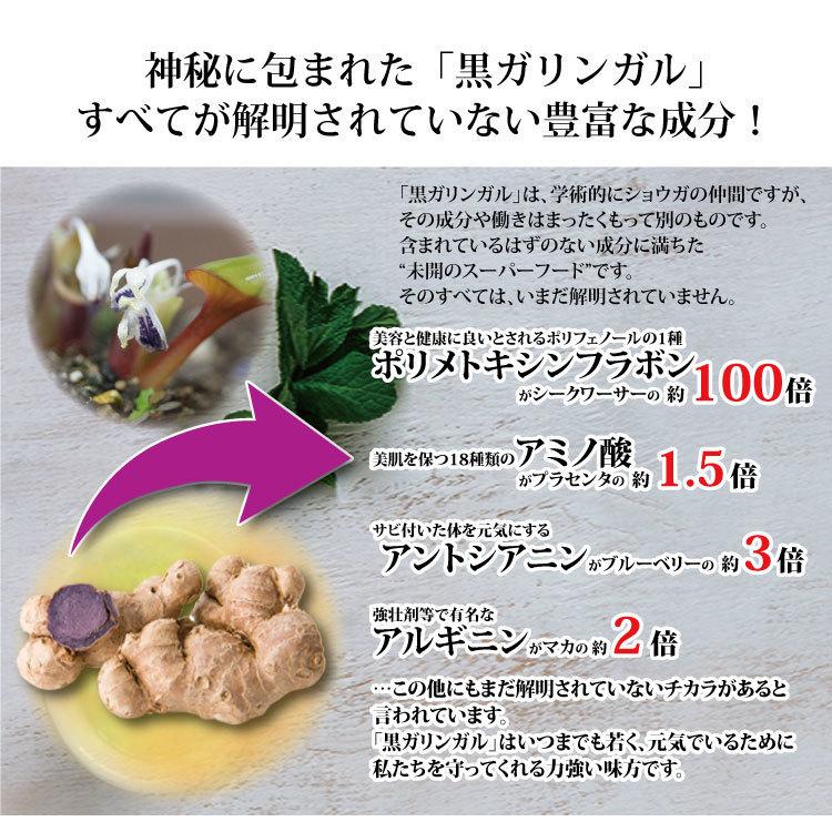 クロガリンダ 370mg×100カプセル 2個入 本物研究所 黒ガリン 