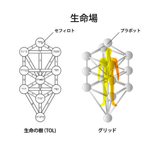 unica（ユニカ） 3Dカバラ パドマ・ペンダント(ヒモタイプ) 丸山