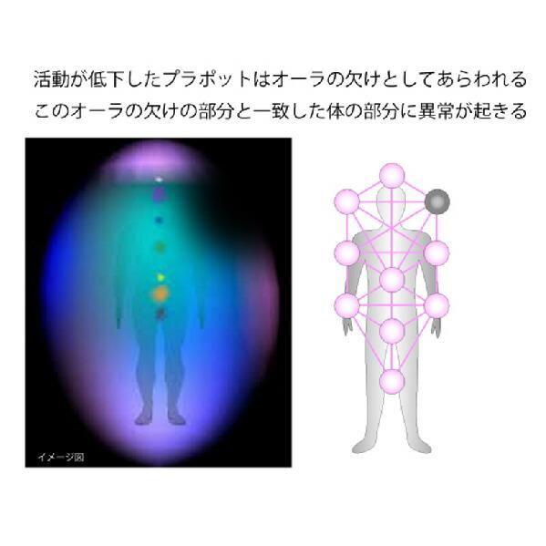 unica（ユニカ） 3Dカバラ パドマ・ペンダント(ヒモタイプ) 丸山