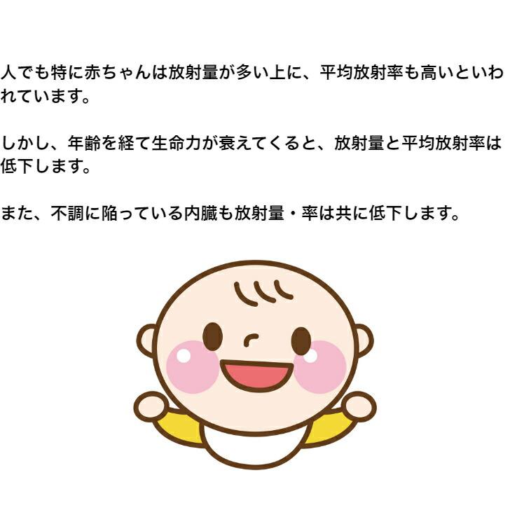 ツインレッグス カッサーラ工房 テラヘルツ アンクレット 脚首アクセサリー パワーストーン ケイ素_6
