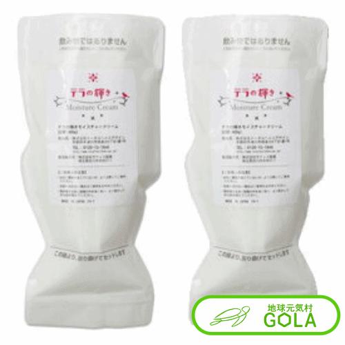 テラの輝き モイスチャークリーム詰替パウチ 400g 2個入 オールインワンクリーム 美容液 化粧水 コスメ テラの輝き モイスチャークリーム詰替パウチ 400g 2個入