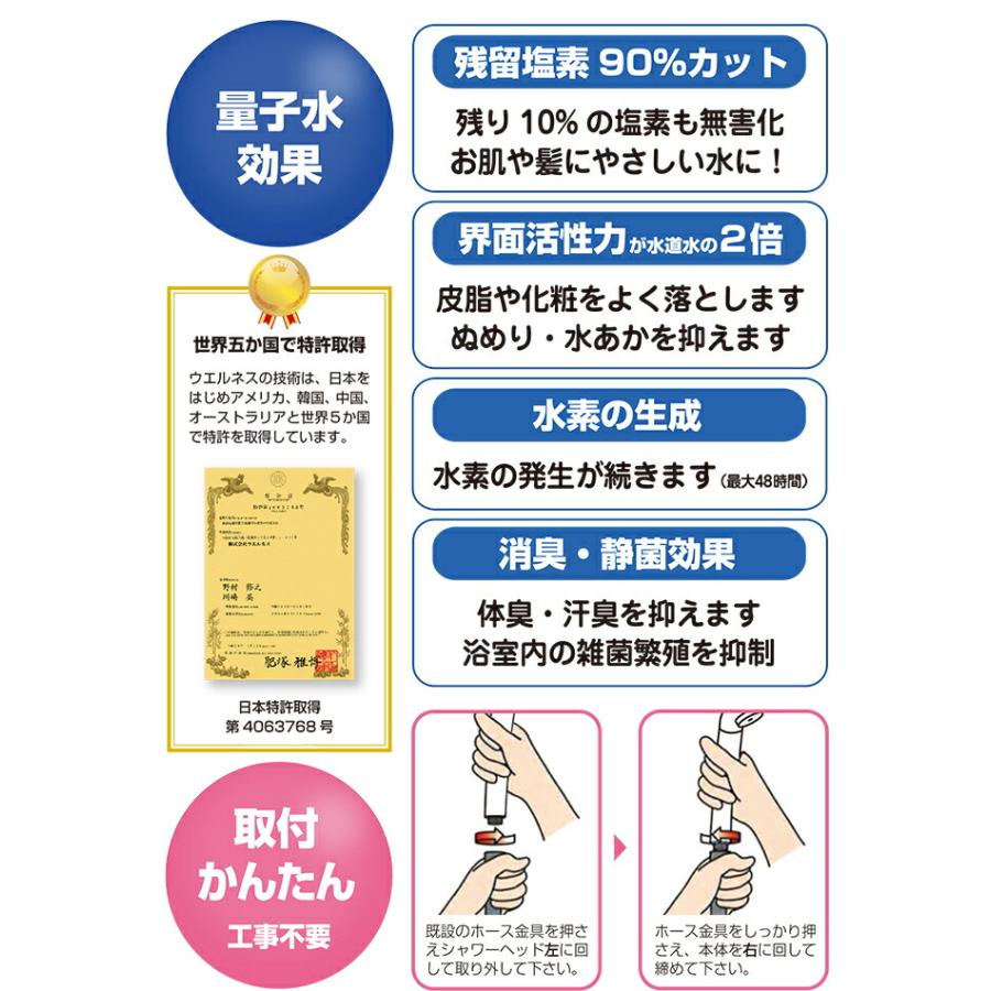 νG（ニュー）テラシャワー 5.5連 テラヘルツシャワーヘッド