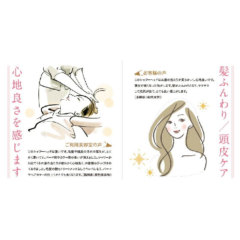 νG（ニュー）テラシャワー 5.5連 テラヘルツシャワーヘッド