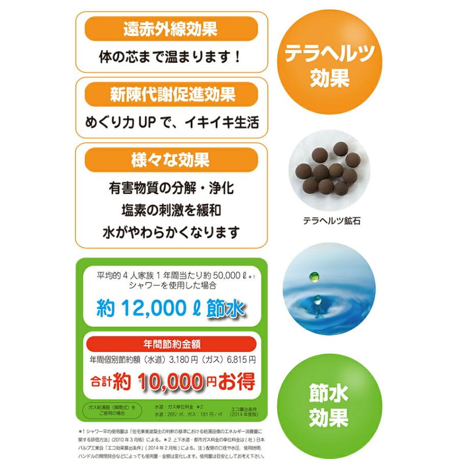 νG（ニュー）テラシャワー 5.5連 テラヘルツシャワーヘッド