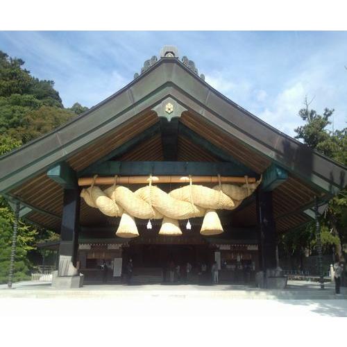 マコモ 190g 2個入 まこも リバーヴ マコモパウダー : 地球元気村GOLA