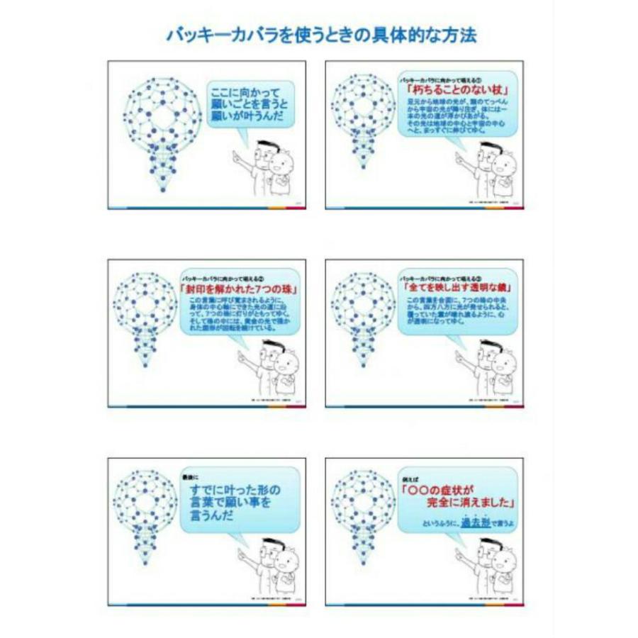 unica（ユニカ） バッキーボール 組立式 + パドマ 丸山アレルギー