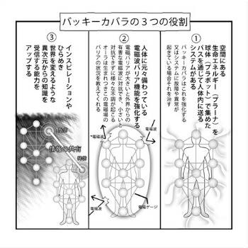 丸山ダヴィンチキューブバッキーカバラセット unica（ユニカ） バッキーボール 組立式 + パドマ 丸山アレルギー