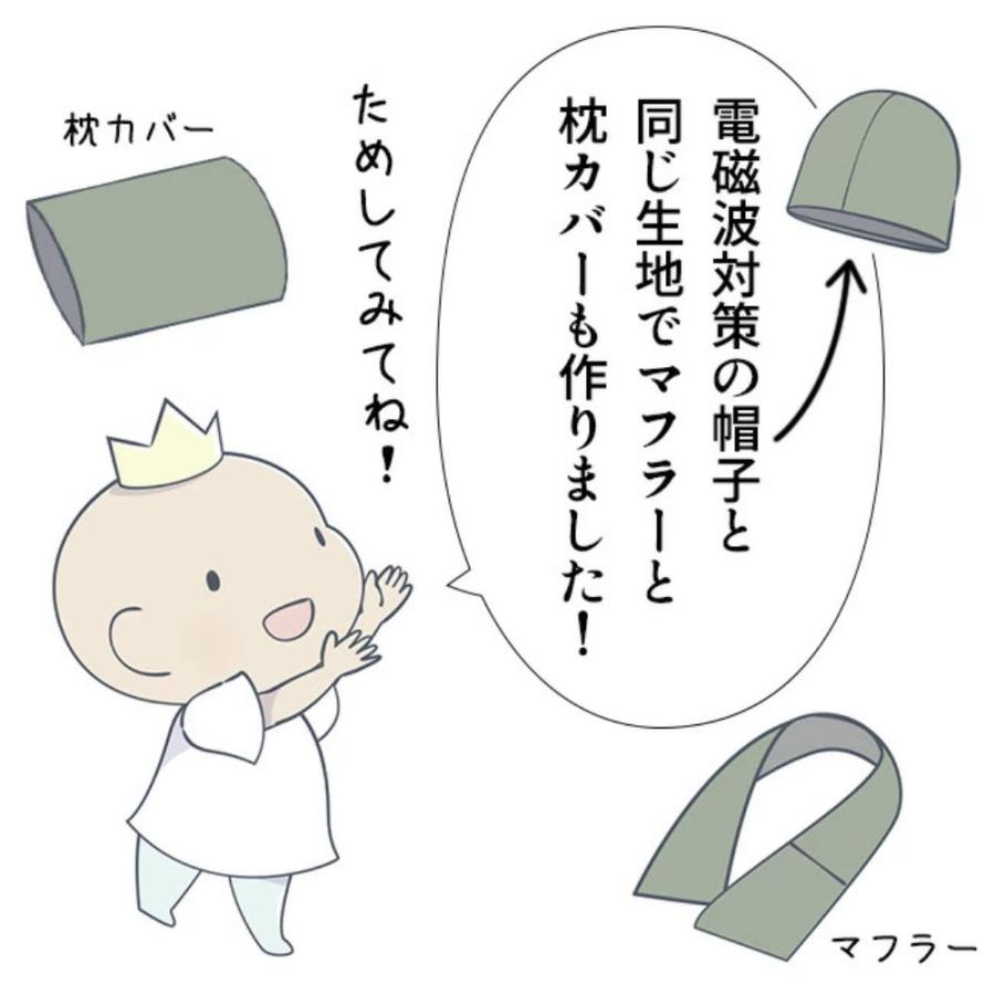 電磁波対策 帽子 （ Mサイズ ） 電磁波対策 電磁波の画像
