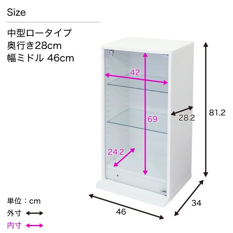 コレクションラック DIO ディオ 幅46cm 本体 ミドル ロータイプ 鍵付