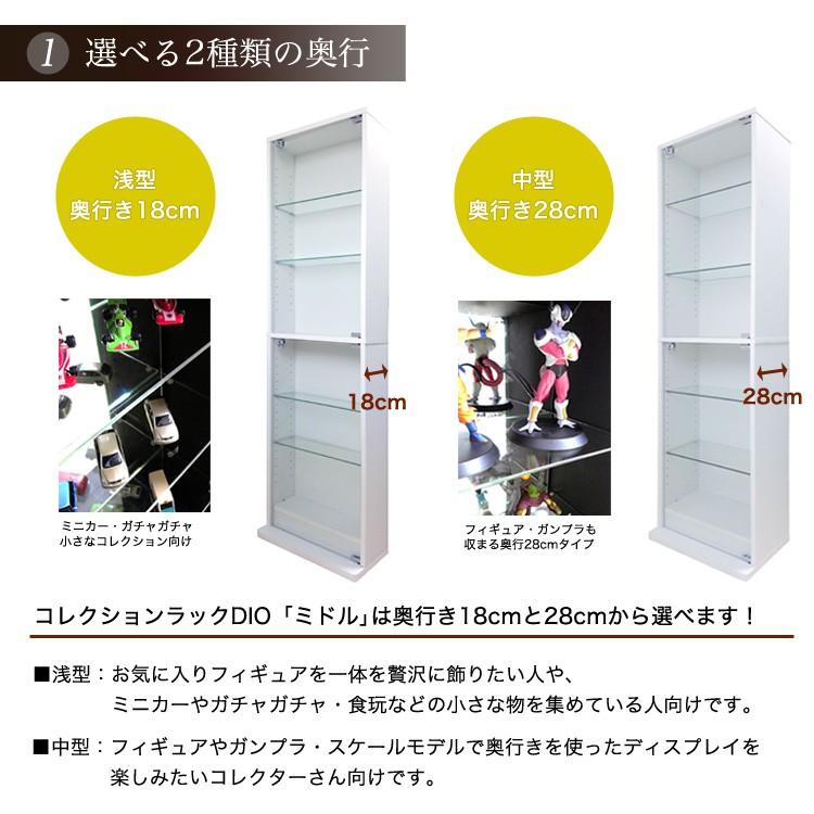 地球家具 コレクションラック DIO ディオ 対応 追加ガラス棚 1枚 単品