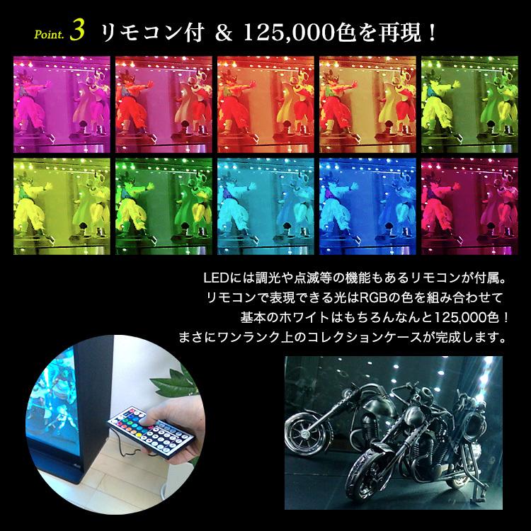 地球家具 コレクションラック DIO ディオ 引き戸 本体 幅90cmワイド