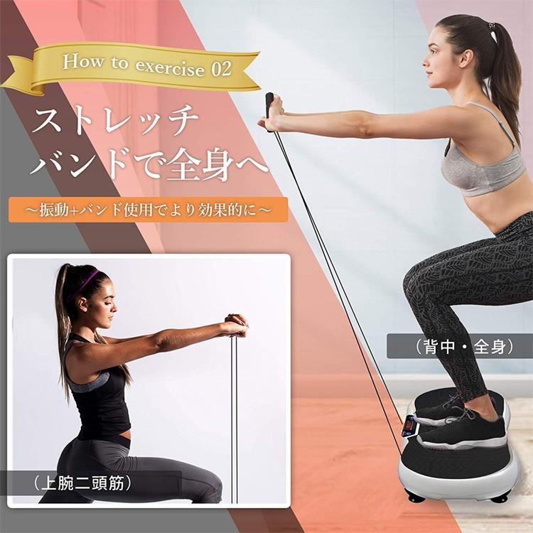 ぶるぶる 3D 振動マシン フィットネスマシーン Daiwa Felicity
