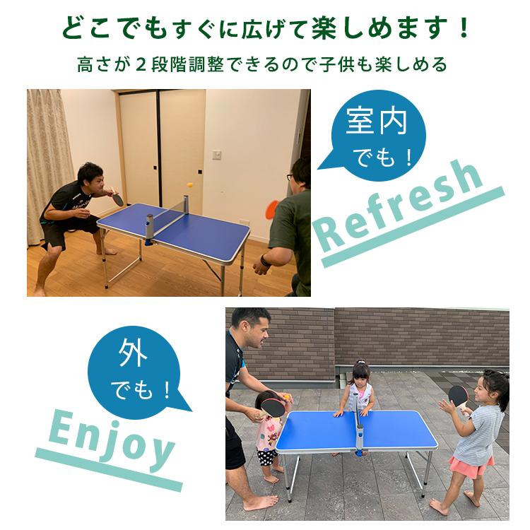 地球家具 卓球台 セット ピンポンテーブル ラケット2つ ボール3つ