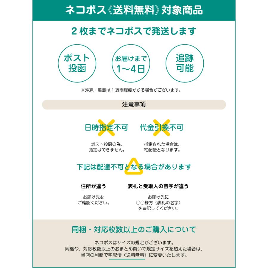 ネコポス送料無料 ラッシュガード キッズ 長袖 かぶり フードなし ラグラン 子供用 男の子 女の子 水着 無地 スクール 100 110 120 130 140 150 160cm [M便 1/2] |  | 09
