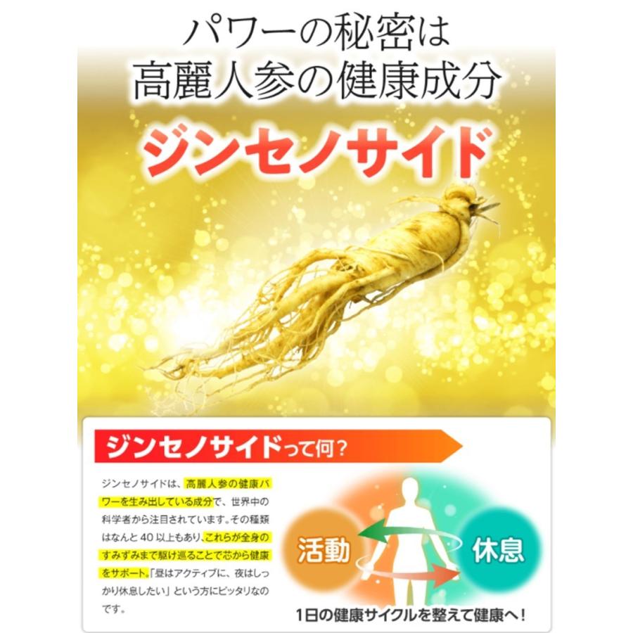 金氏高麗人参 神秘の健康力 金氏 高麗人参 90粒 : CHILL HOUSE 金氏高麗人参 神秘の健康力 金氏 高麗人参 90粒 : CHILL HOUSE