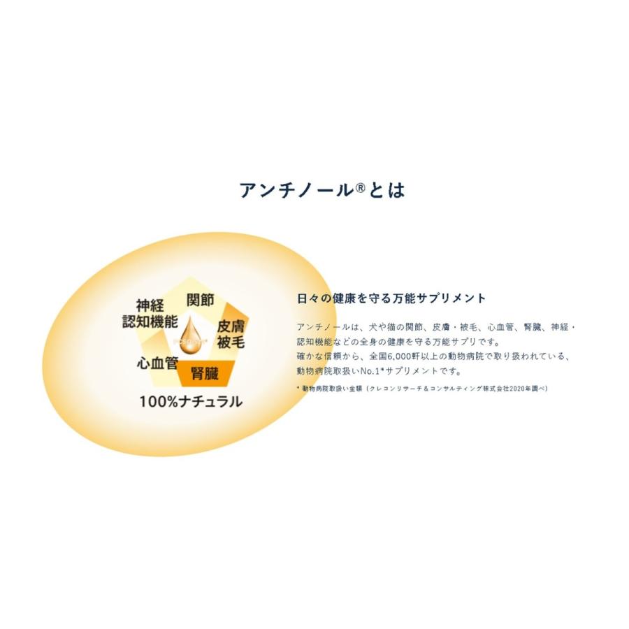 新着商品 アンチノール 犬用 サプリメント 90粒 21新発 Www Email Hbeng Com Br