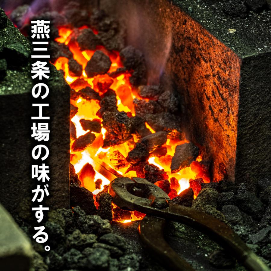 ギフト 燕三条鉄アイス 2個 アイススプーン ２本 デザイナーズBOX入 |  | 06