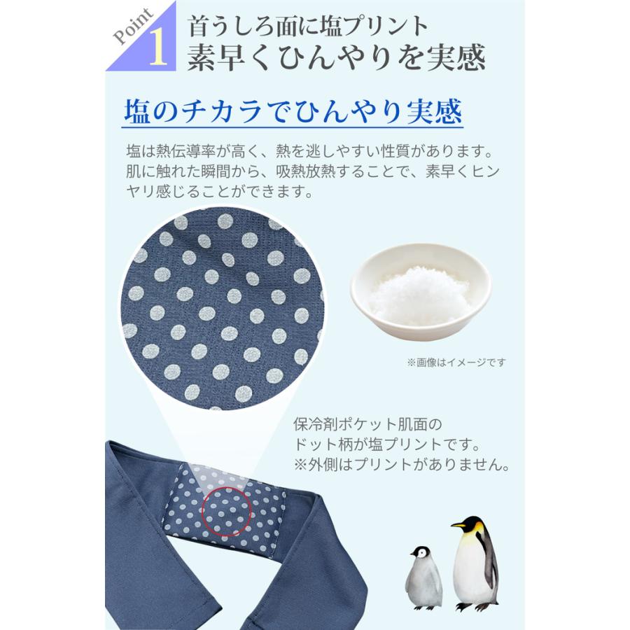 塩 ネッククーラー クールネック 日本製 人気 保冷剤 冷却グッズ ネック クーラー クーラー おすすめ キッズ 冷却プレート  布 |  | 05