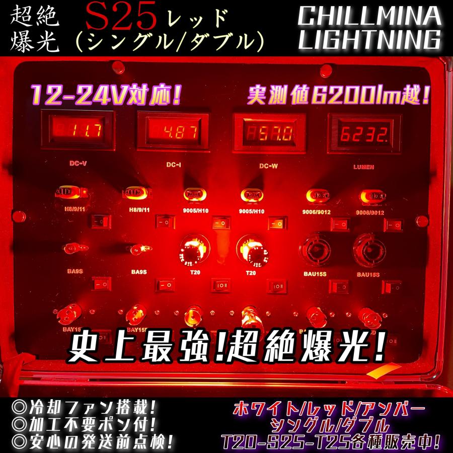 6000LM】超絶爆光 S25 テールランプ などに ポン付け (欧州車や一部の