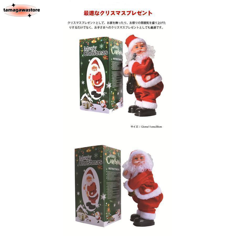 クリスマス サンタ コイス 3種類 クリスマス サンタ コイス 3種類
