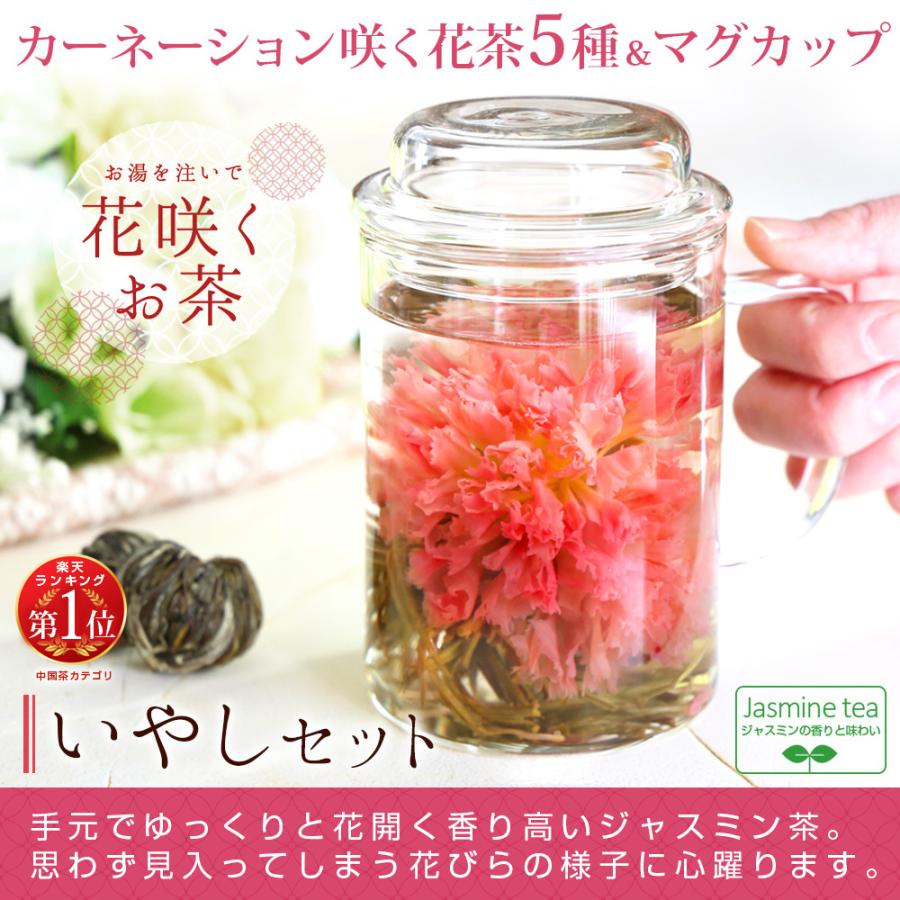 別倉庫からの配送 プレゼント ギフト 花咲く 工芸茶 花茶5種 耐熱 ガラス マグカップ いやしセット 雑貨 ジャスミン茶 80代 90代 Materialworldblog Com