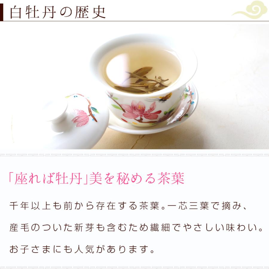 白茶 お茶 白牡丹 お試し5g 10p タブレットタイプ 茶葉 中国茶 はくちゃ ホワイトティー ぱいちゃ メール便 Ts Hbt 中国茶専門店リムテー 通販 Yahoo ショッピング